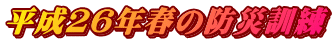 QUNt̖hЌP
