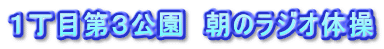 １丁目第３公園　朝のラジオ体操