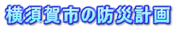 {s̖hЌv
